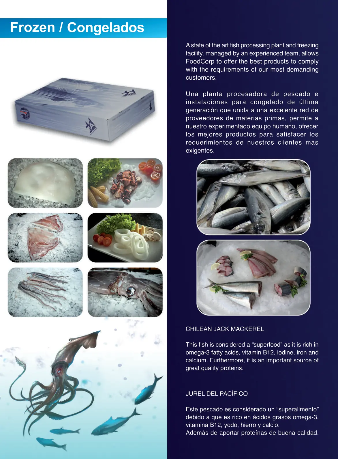 Frozen giant squid fillets, tentacles and rings — FoodCorp Chile export cuts